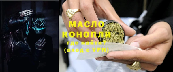 дживик Няндома